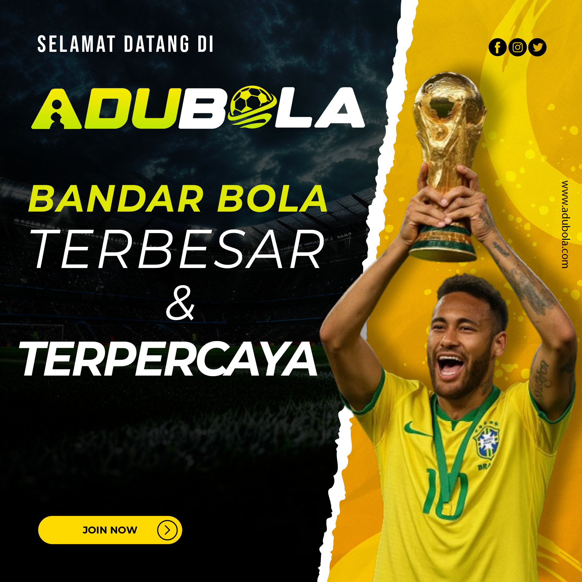 Banner Adubola
